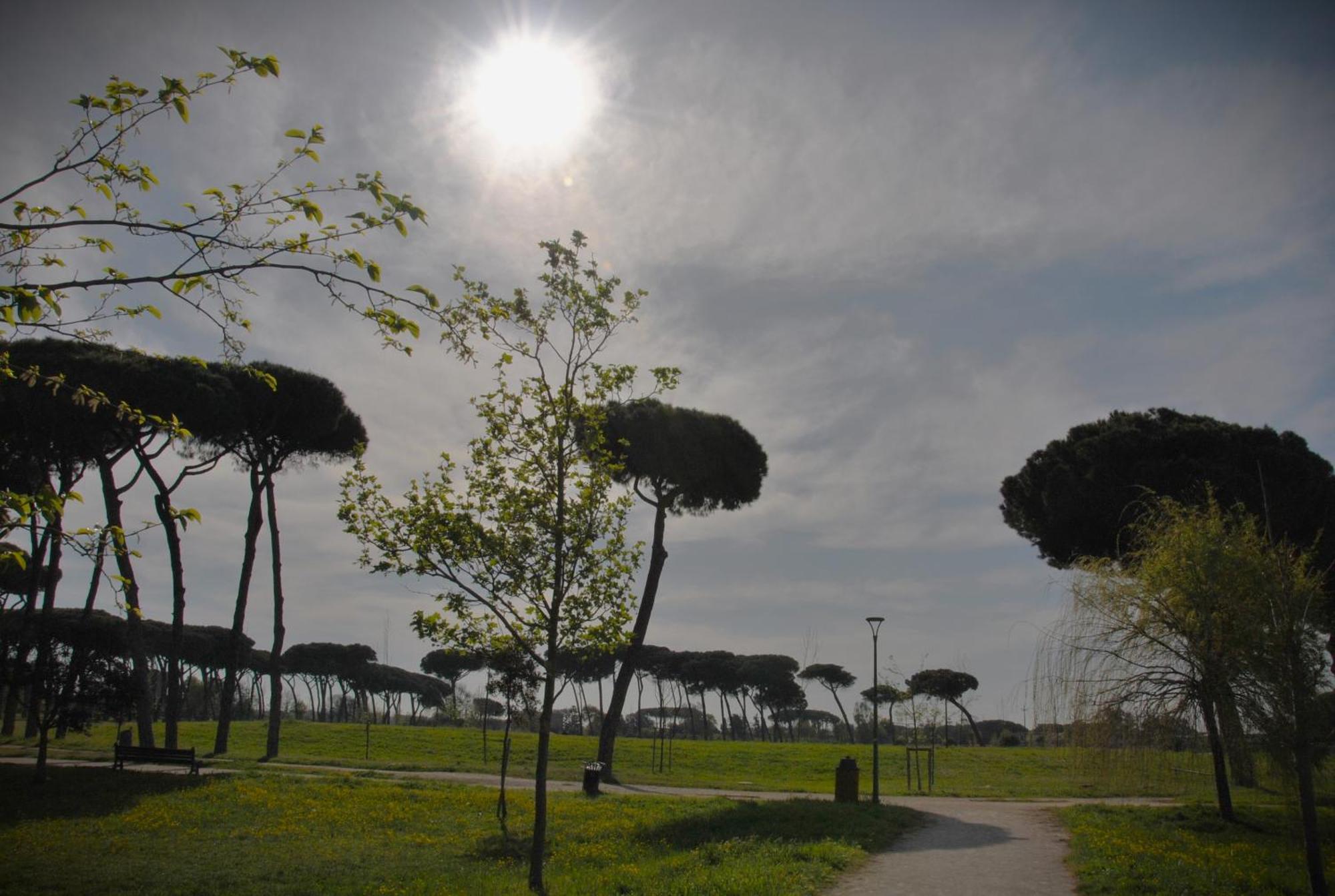 Alloggio Di Giorgia Fiumicino Exterior foto